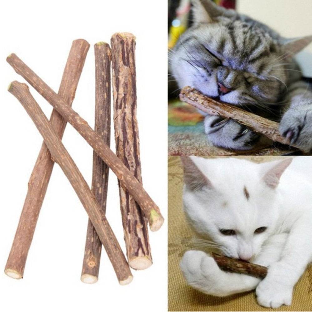 5Pcs/lot Cat Cleaning Teeth Pure Natural Catnip - Big J's Showstoppin' Store