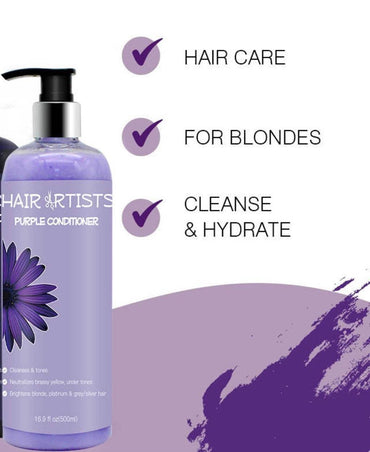 Hair Artists Purple Shampoo & Conditioner - Big J's Showstoppin' Store