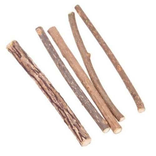 5Pcs/lot Cat Cleaning Teeth Pure Natural Catnip - Big J's Showstoppin' Store