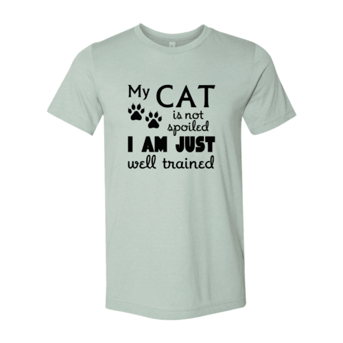 DT0175 My Cat Is Not Spoiled Shirt - Big J's Showstoppin' Store