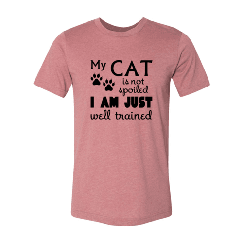 DT0175 My Cat Is Not Spoiled Shirt - Big J's Showstoppin' Store