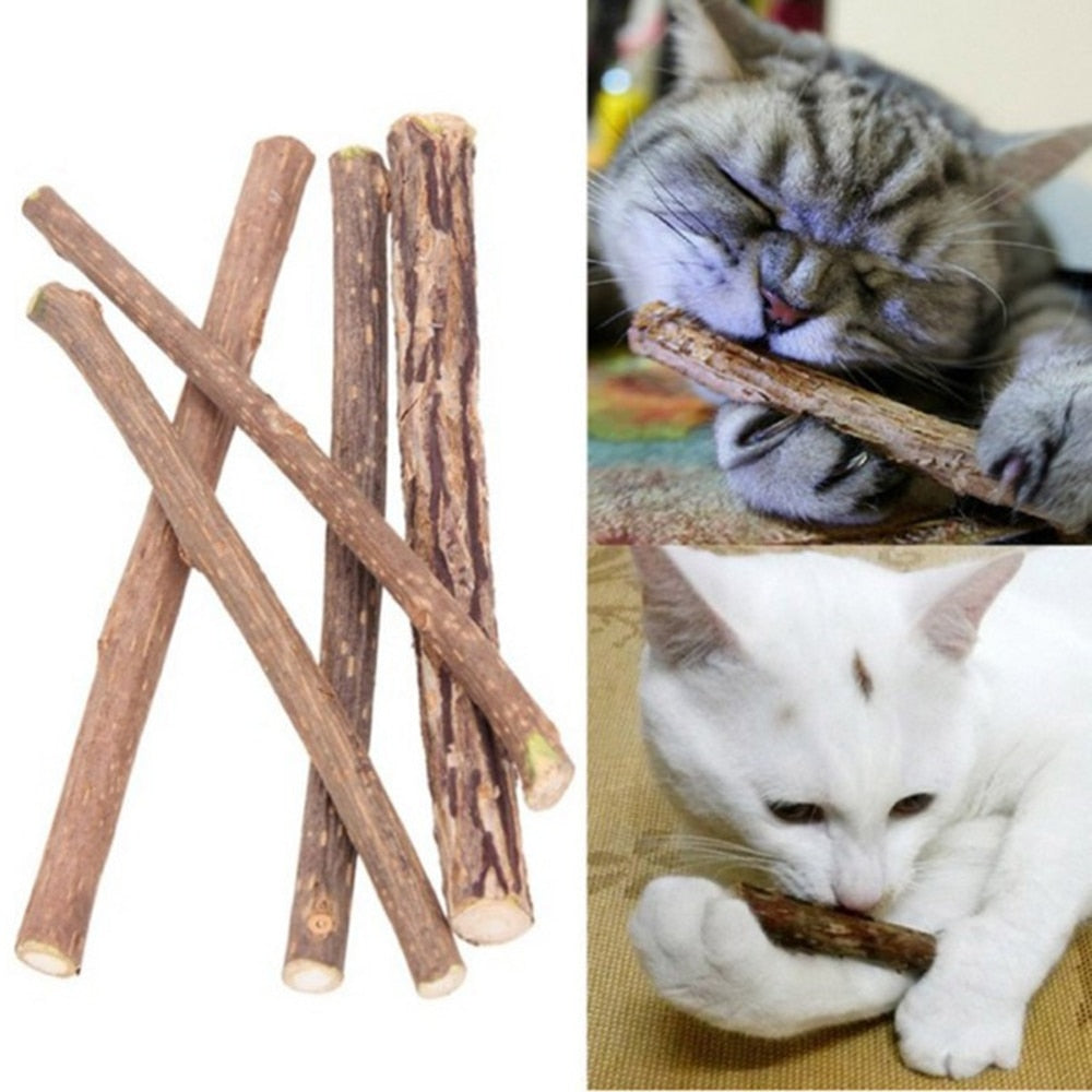 5Pcs/lot Cat Cleaning Teeth Pure Natural Catnip