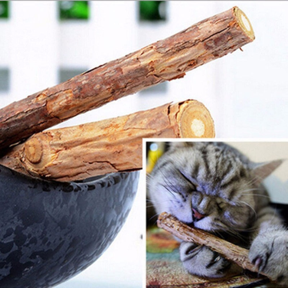 5Pcs/lot Cat Cleaning Teeth Pure Natural Catnip