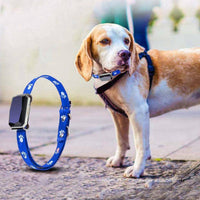 Smartpaws Gps Pet Tracker