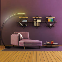 RGBW Modern Curve Floor Lamp | New Version - Big J's Showstoppin' Store