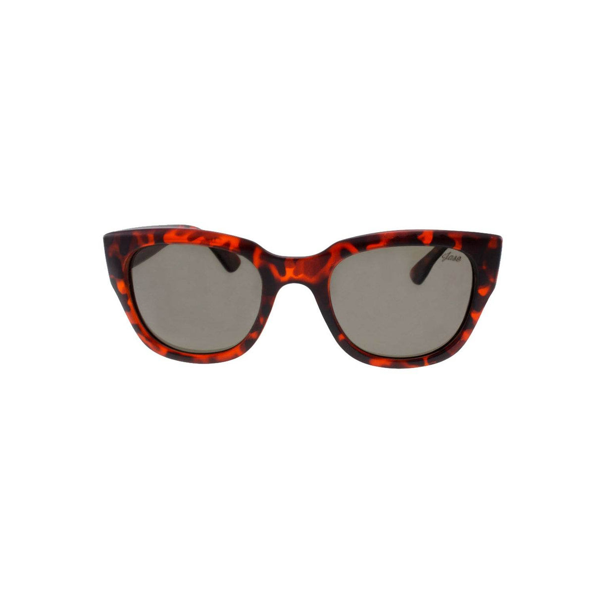 Jase New York Delano Sunglasses in Havana - Big J's Showstoppin' Store